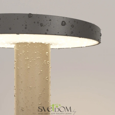 O420FL-L12GF Maytoni