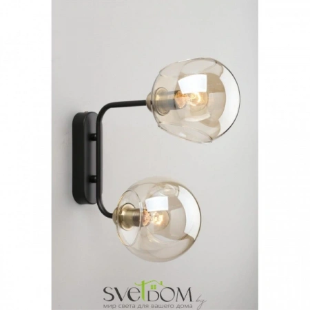 Настенные светильники OML-94201-02 Omnilux | Svetdom.by