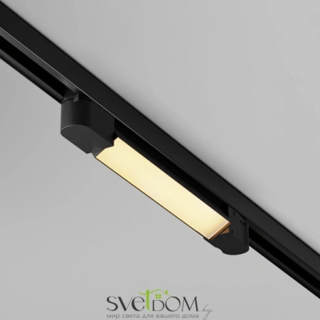 TR196-3-10W2.7K-B Maytoni