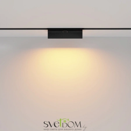 TR036-2-12W2.7K-B Maytoni