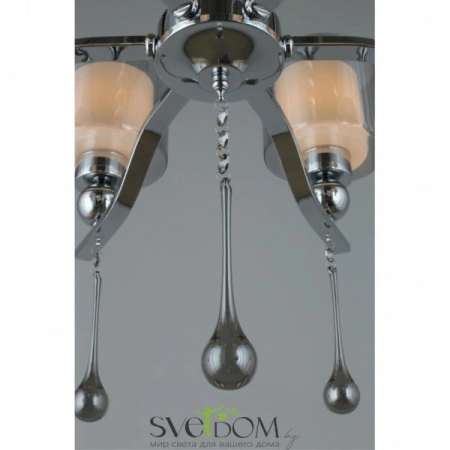 Люстры подвесныеOML-56003-06 Omnilux | Svetdom.by