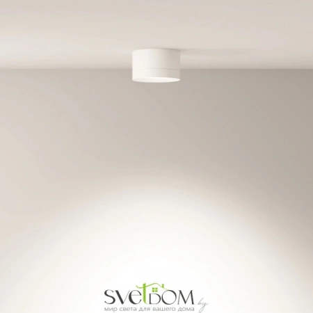 Потолочные светильники Maytoni C086CL-GX53-SRD-W от Магазина Svetdom.by