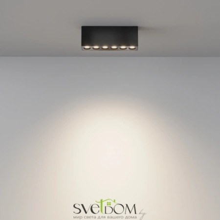 Потолочные светильники Maytoni C066CL-12W3-6K-B от Магазина Svetdom.by