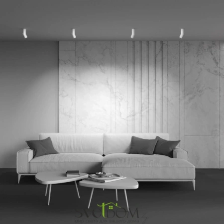 Потолочные светильники Maytoni C027CL-L10W от Магазина Svetdom.by