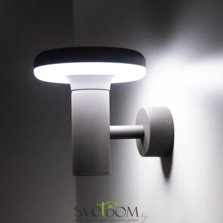 Citilux CLU01W LED Уличный настенный светильник Графит CITILUX