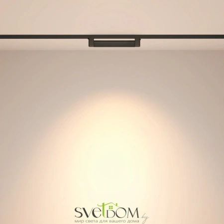 TR010-1-10W3K-M-B Maytoni