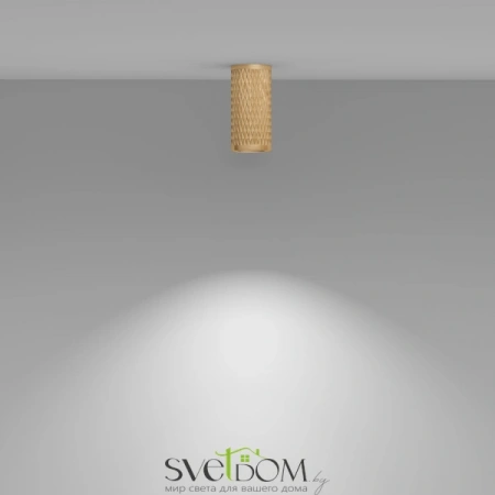 Потолочные светильники Maytoni C036CL-01G от Магазина Svetdom.by