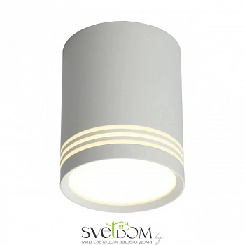 Светильник встраиваемый-накладной Omnilux  OML-100109-12