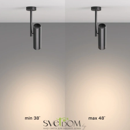 Фото Потолочные светильники Maytoni C020CL-01B Потолочные светильники Maytoni C020CL-01B от Магазина Svetdom.by