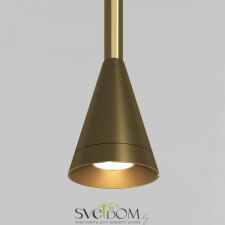 Подвесные светильники Maytoni P064PL-01G-1 от Магазина Svetdom.by