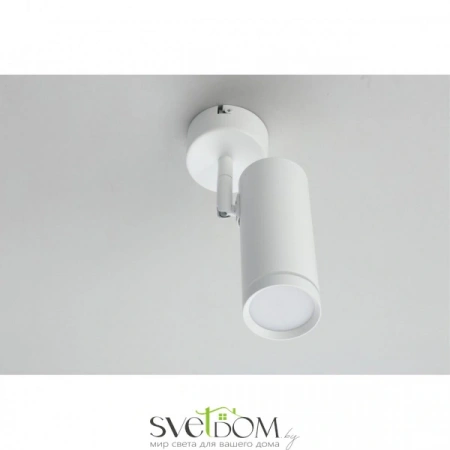 Настенно-потолочные светильники Omnilux OML-102219-12 от Магазина Svetdom.by