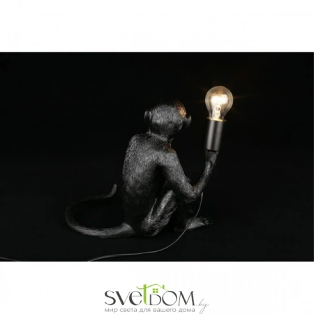 APL.309.24.01 Aployt