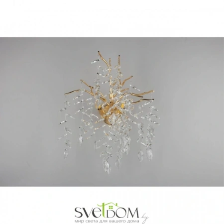 Настенные светильники APL.847.01.03 Aployt | Svetdom.by