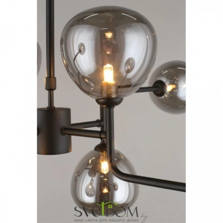 Люстры потолочныеAPL.913.07.08 Aployt | Svetdom.by