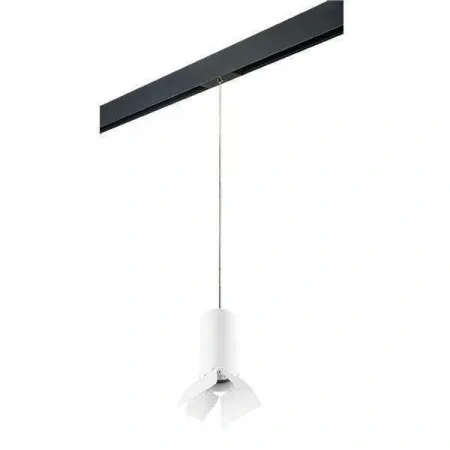 PRORP486436 Lightstar