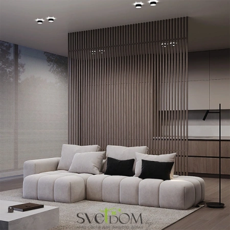 Встраиваемые светильники Maytoni DL062-GU10-B от Магазина Svetdom.by