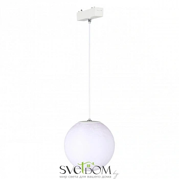 Светильник трековый Aployt  APL.0123.10.06