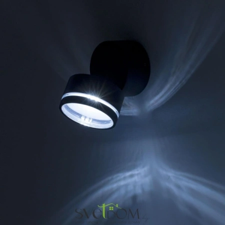 Citilux CLU0008R LED Уличный светильник поворотный Графит CITILUX