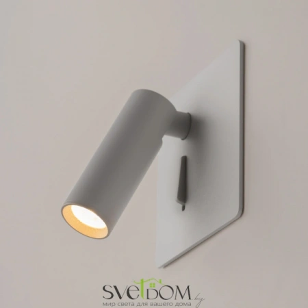 Настенные светильники C040WL-L3W3K Maytoni | Svetdom.by