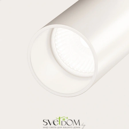 Потолочные светильники Maytoni C020CL-01W от Магазина Svetdom.by