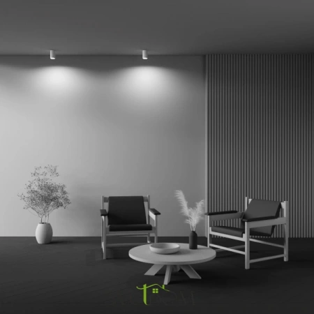 Потолочные светильники Maytoni C003CW-01W от Магазина Svetdom.by