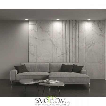 Встраиваемые светильники Maytoni DL2001-L12W от Магазина Svetdom.by