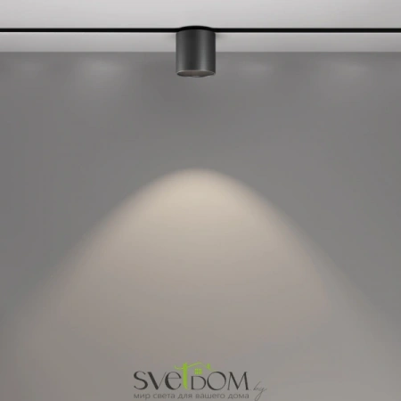 TR132-2-7W4K-B Maytoni