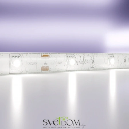 Светодиодная лента 24В 5050 7,2Вт/м 6000K 5м IP65 10165