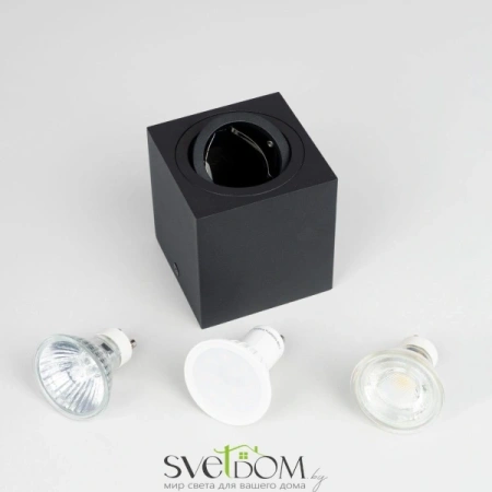 CL538213 CITILUX