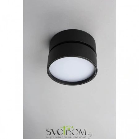 Накладные светильники Omnilux OML-101319-18 от Магазина Svetdom.by