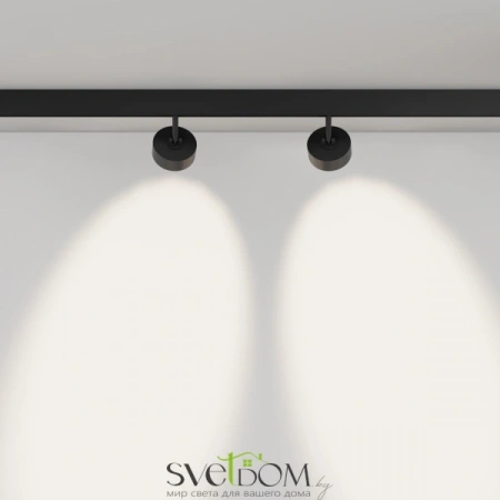 TR217-4-15WTW-DD-B Maytoni