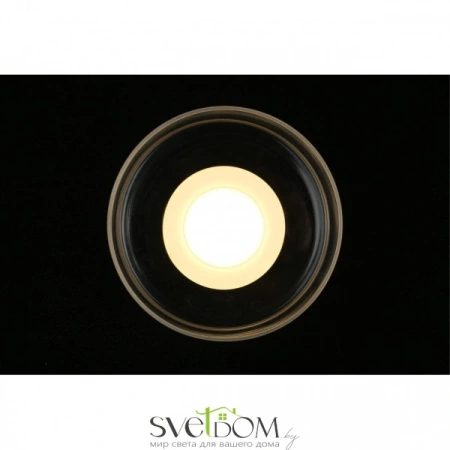 Настенные светильники APL.341.31.06 Aployt | Svetdom.by