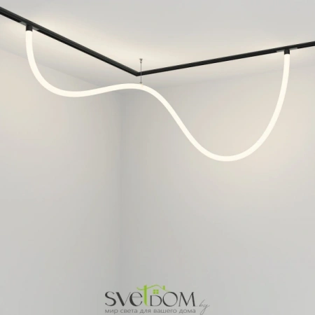 TR101-2-50W4K-B Maytoni