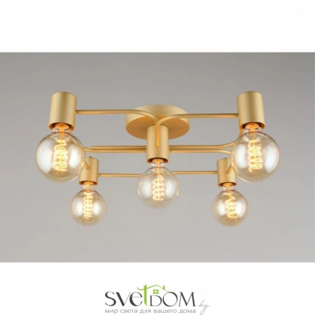 Люстры потолочныеAPL.911.07.05 Aployt | Svetdom.by