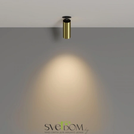 Потолочные светильники Maytoni C053CL-L12W3K-W-BS от Магазина Svetdom.by