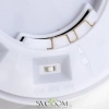 CITILUX CL750180 ETALON Белый+Бук с подсветкой CITILUX