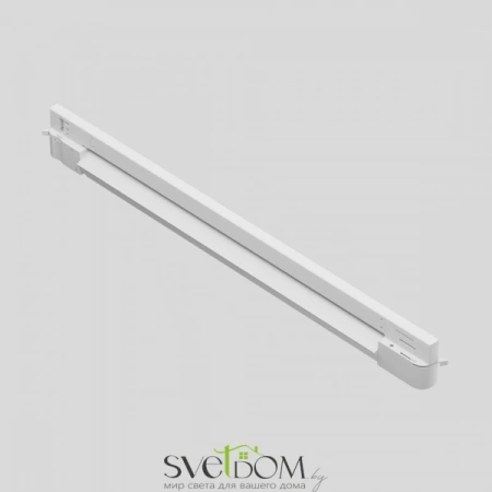 TR196-3-20W2.7K-W Maytoni