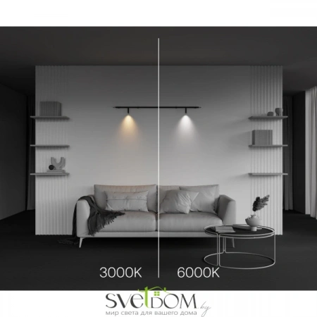 Светильники Maytoni C102CL-3W3-6K-B от Магазина Svetdom.by