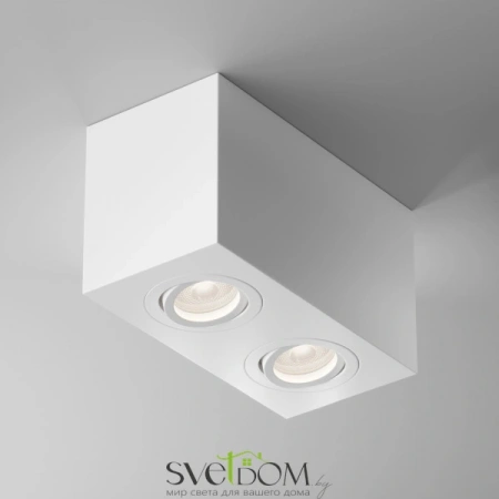 Потолочные светильники Maytoni C017CL-02W от Магазина Svetdom.by