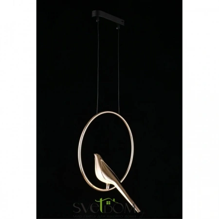 Фото Подвесные светильники Aployt APL.822.06.10 Подвесные светильники Aployt APL.822.06.10 от Магазина Svetdom.by