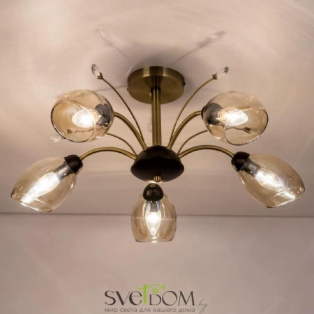 Люстры потолочныеCL108155 CITILUX | Svetdom.by