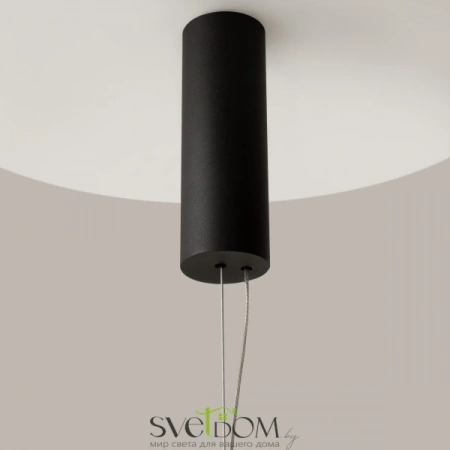 Подвесные светильники Maytoni MOD381PL-L30B3K от Магазина Svetdom.by