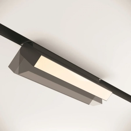 TR013-2-20W3K-B Maytoni