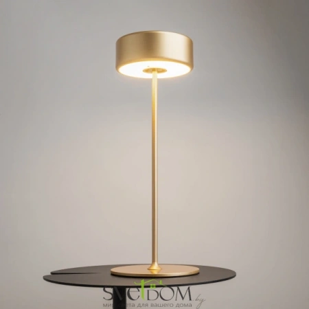 Аккумуляторный светильник Maytoni MOD229TL-L3G3K2 MOD229TL-L3G3K2 Maytoni