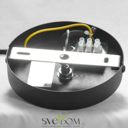 Люстра подвесная Lussole Huron LSP-8156-CL E27 Lussole