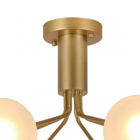 Люстры потолочные2631-6U Favourite | Svetdom.by