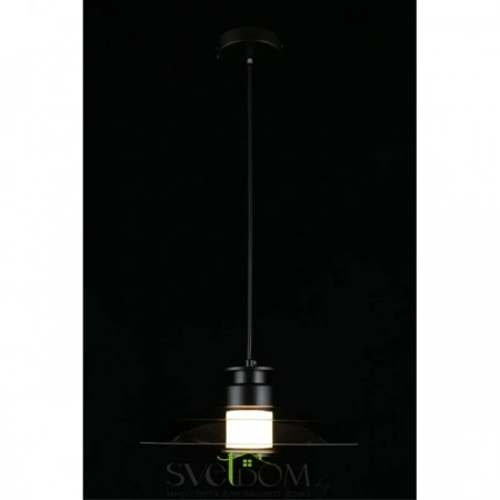 Подвесные светильники Aployt APL.648.06.10 от Магазина Svetdom.by
