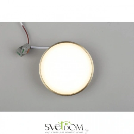 Настенно-потолочные светильники Aployt APL.0113.29.12 от Магазина Svetdom.by