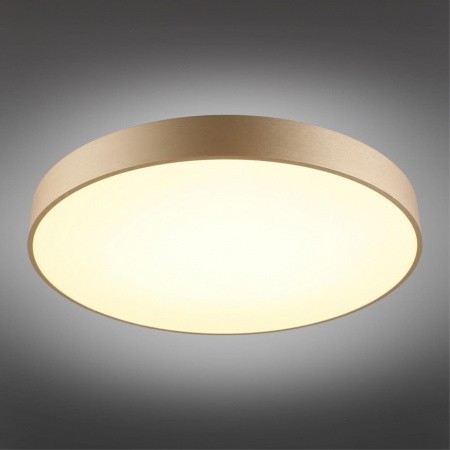 Настенно-потолочные светильники Aployt APL.023.07.68 от Магазина Svetdom.by