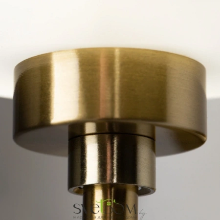 Настенные светильники FR5373WL-01BS Freya | Svetdom.by